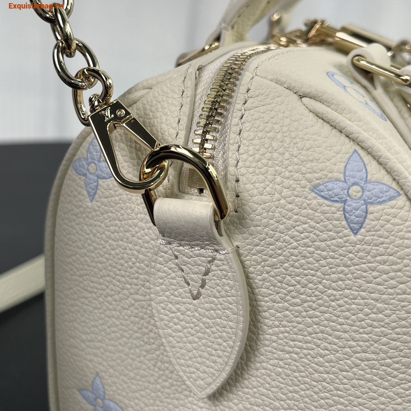 Louis Vuitton Speedy Bandouliere 20 bag