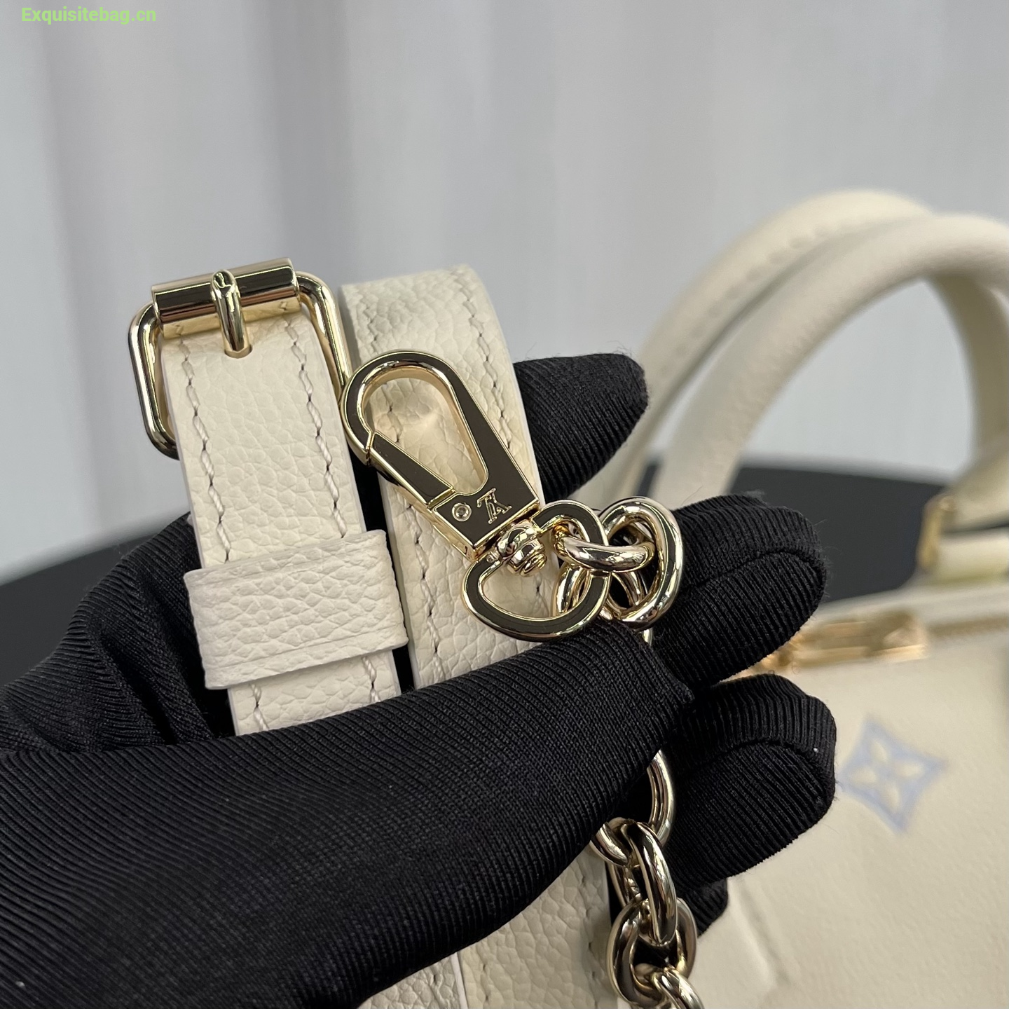 Louis Vuitton Speedy Bandouliere 20 bag