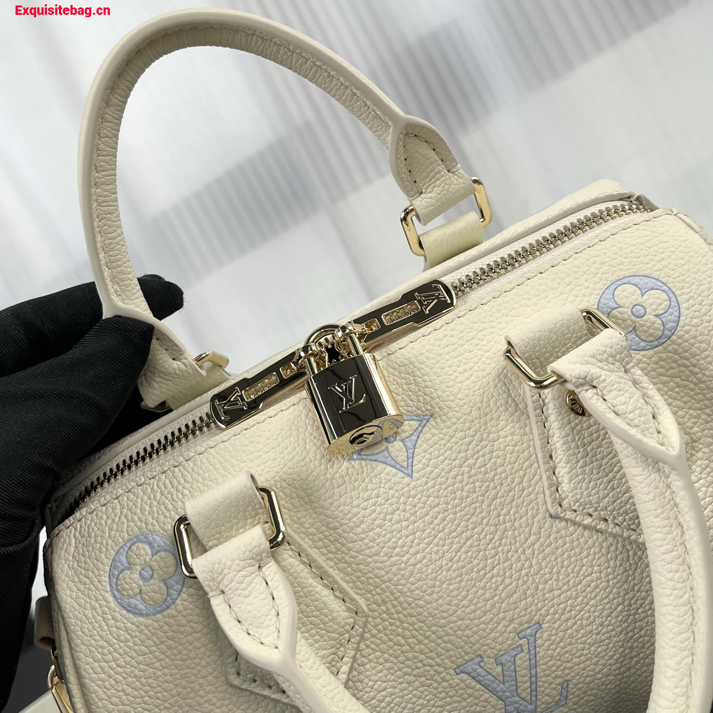Louis Vuitton Speedy Bandouliere 20 bag