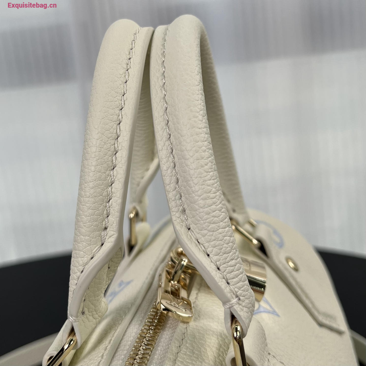 Louis Vuitton Speedy Bandouliere 20 bag