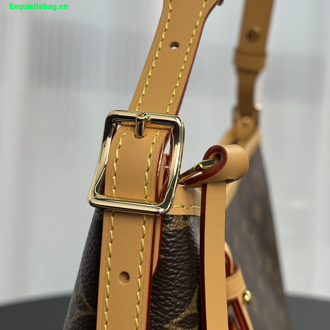 Louis Vuitton CarryAll handbag in the Monogram canvas