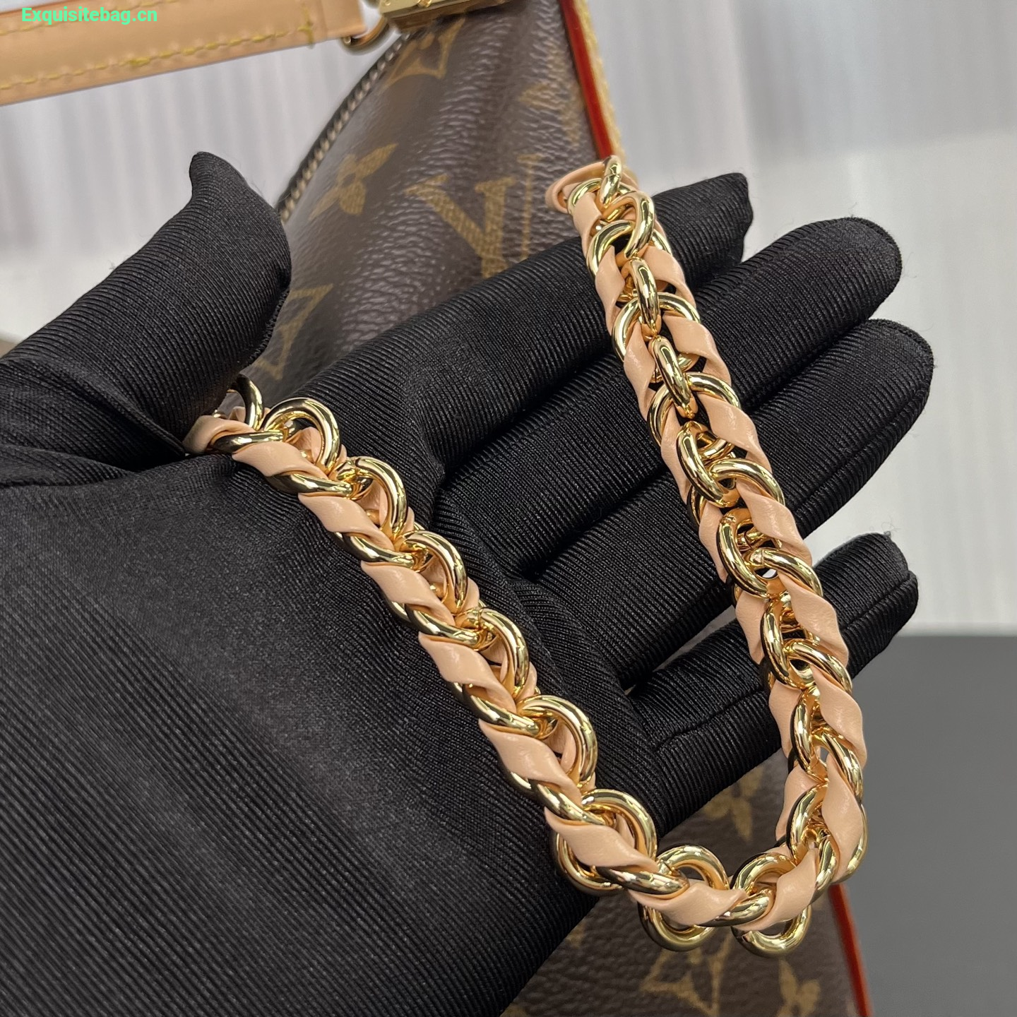 Louis Vuitton Multipass Monogram handbag