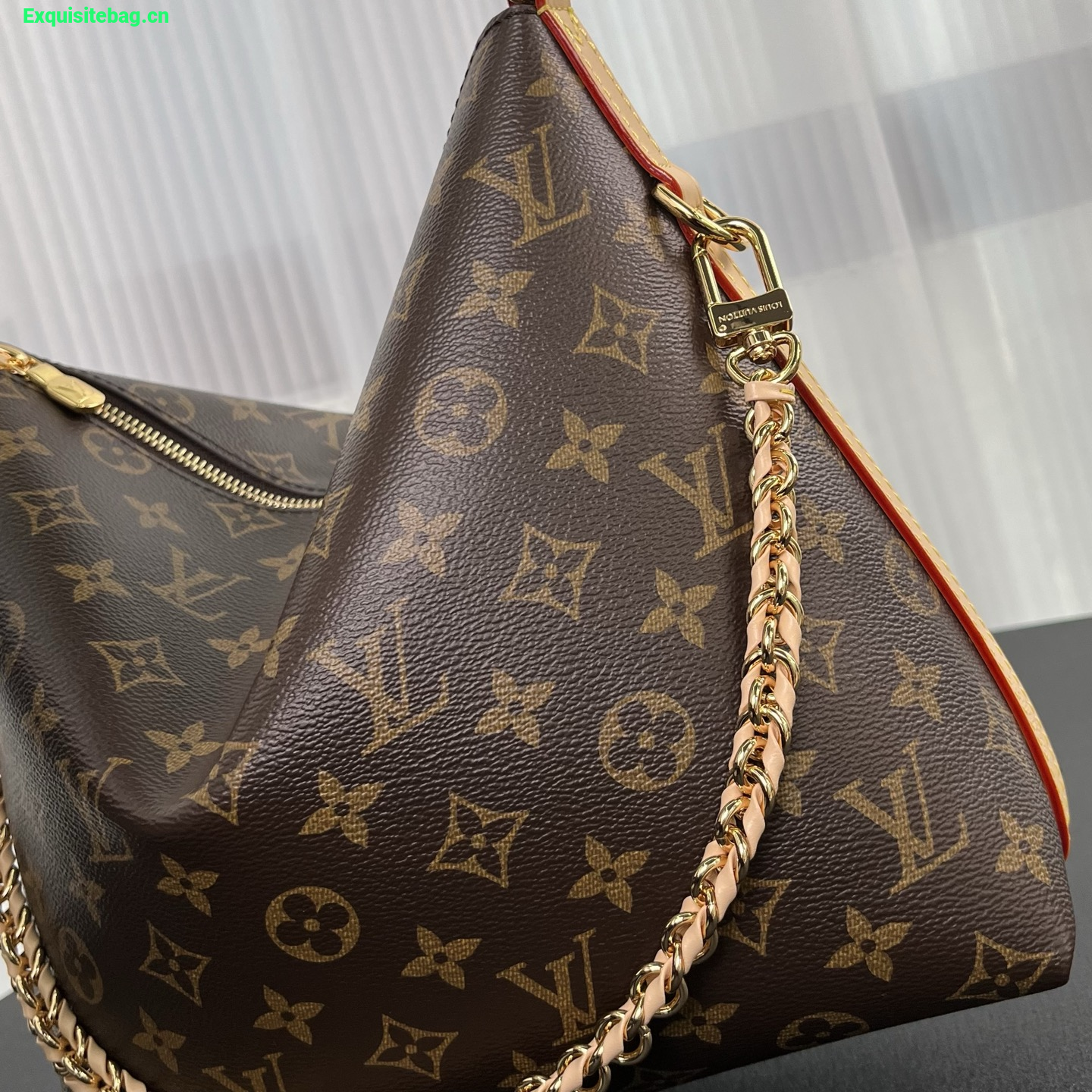 Louis Vuitton Multipass Monogram handbag