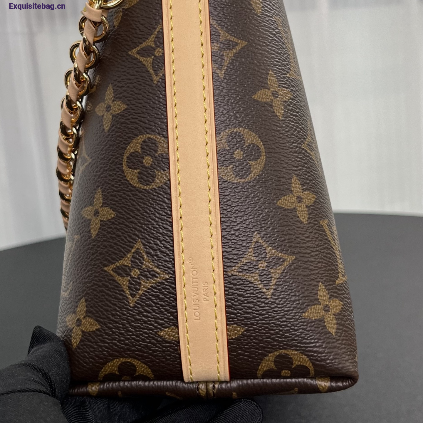 Louis Vuitton Multipass Monogram handbag