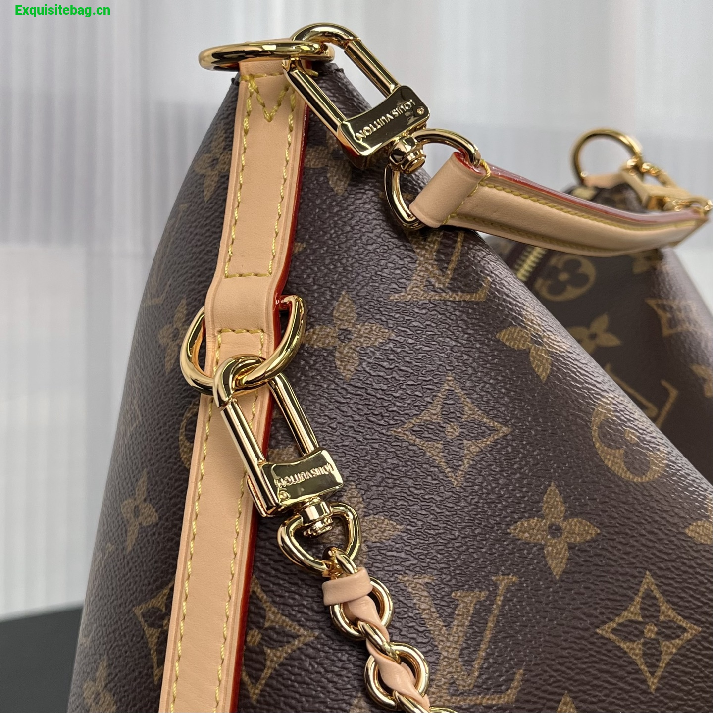Louis Vuitton Multipass Monogram handbag