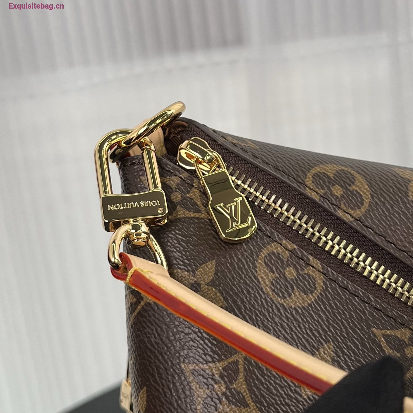Louis Vuitton Multipass Monogram handbag