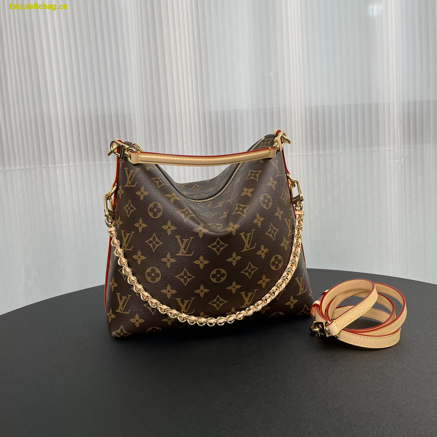 Louis Vuitton Multipass Monogram handbag