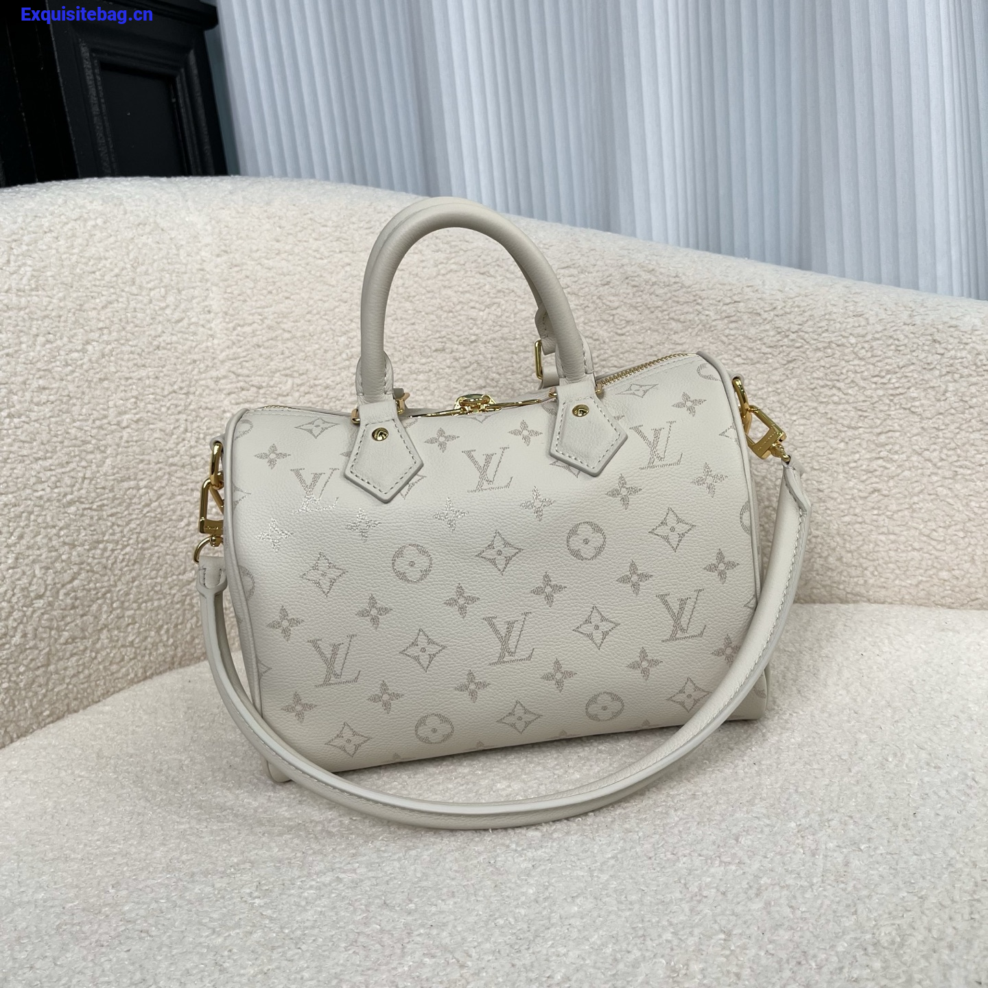 Louis Vuitton Speedy handbag