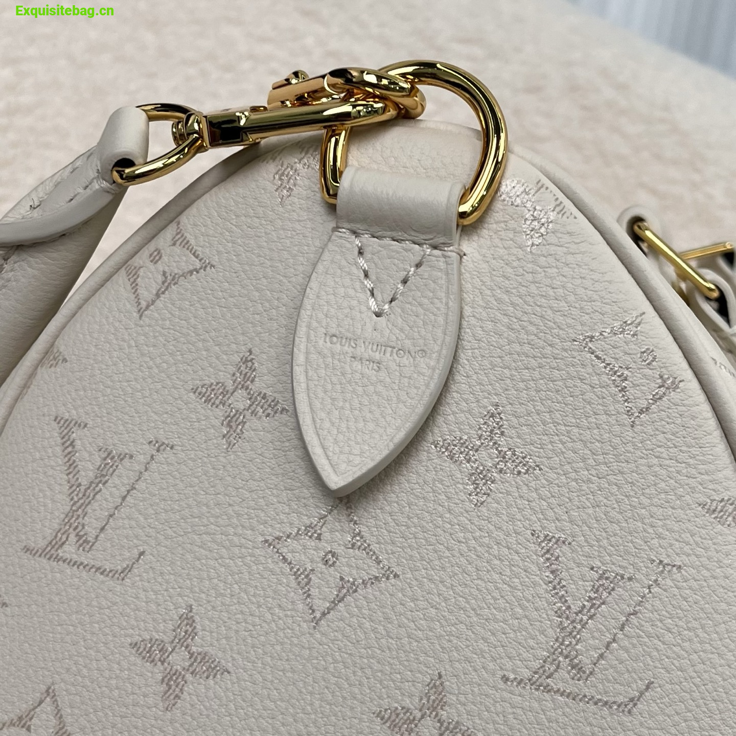 Louis Vuitton Speedy handbag