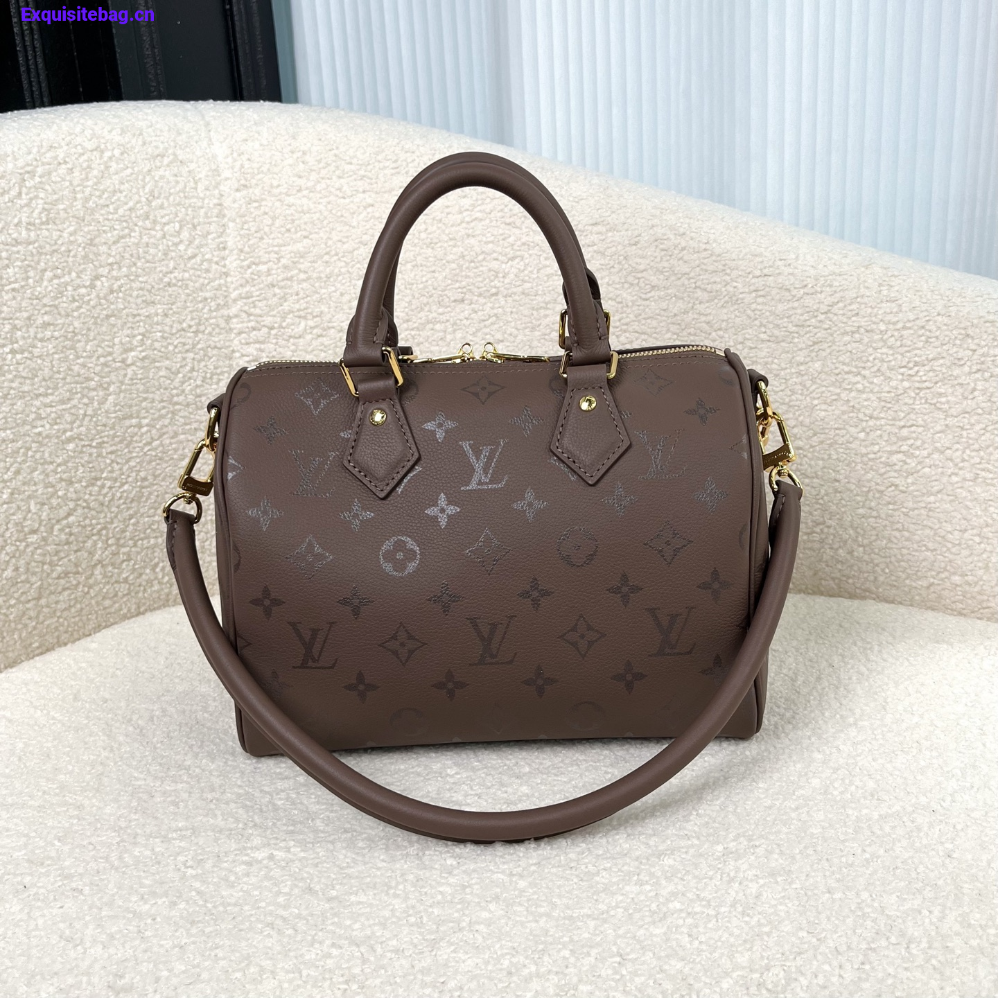 Louis Vuitton Speedy handbag