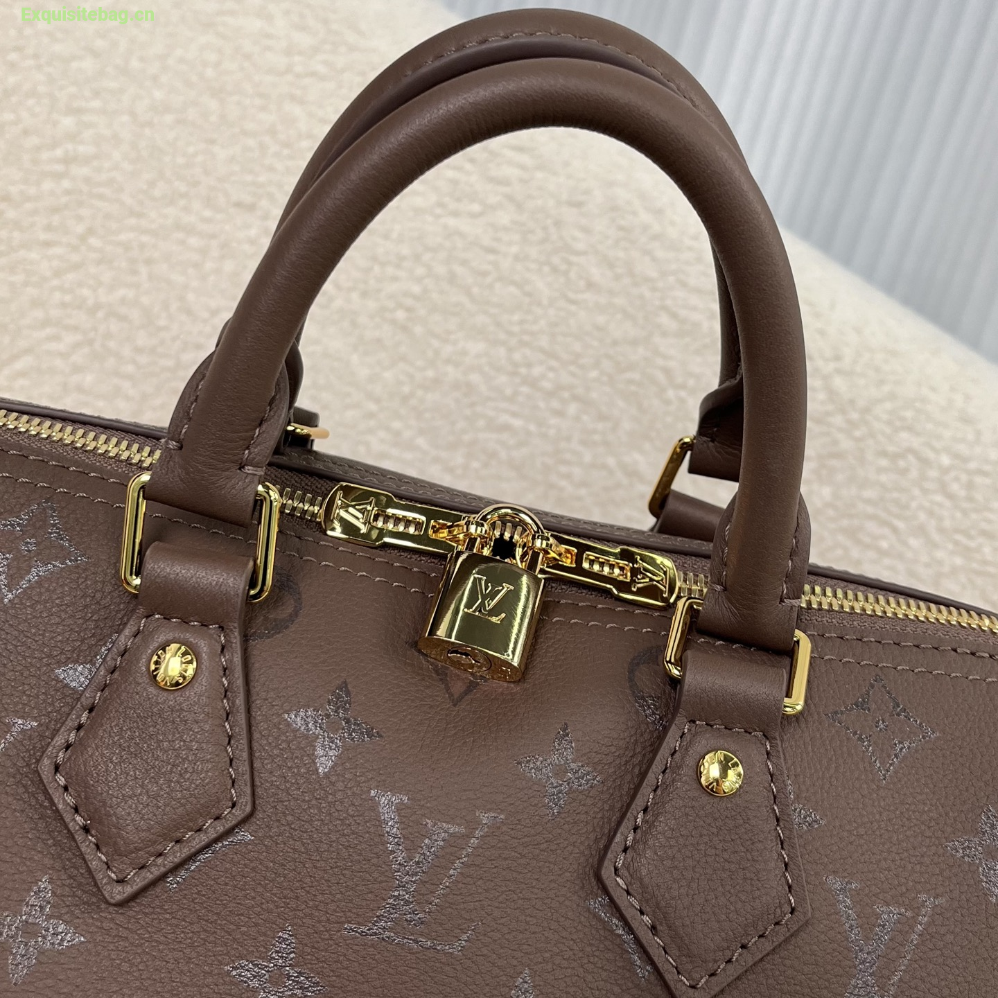 Louis Vuitton Speedy handbag