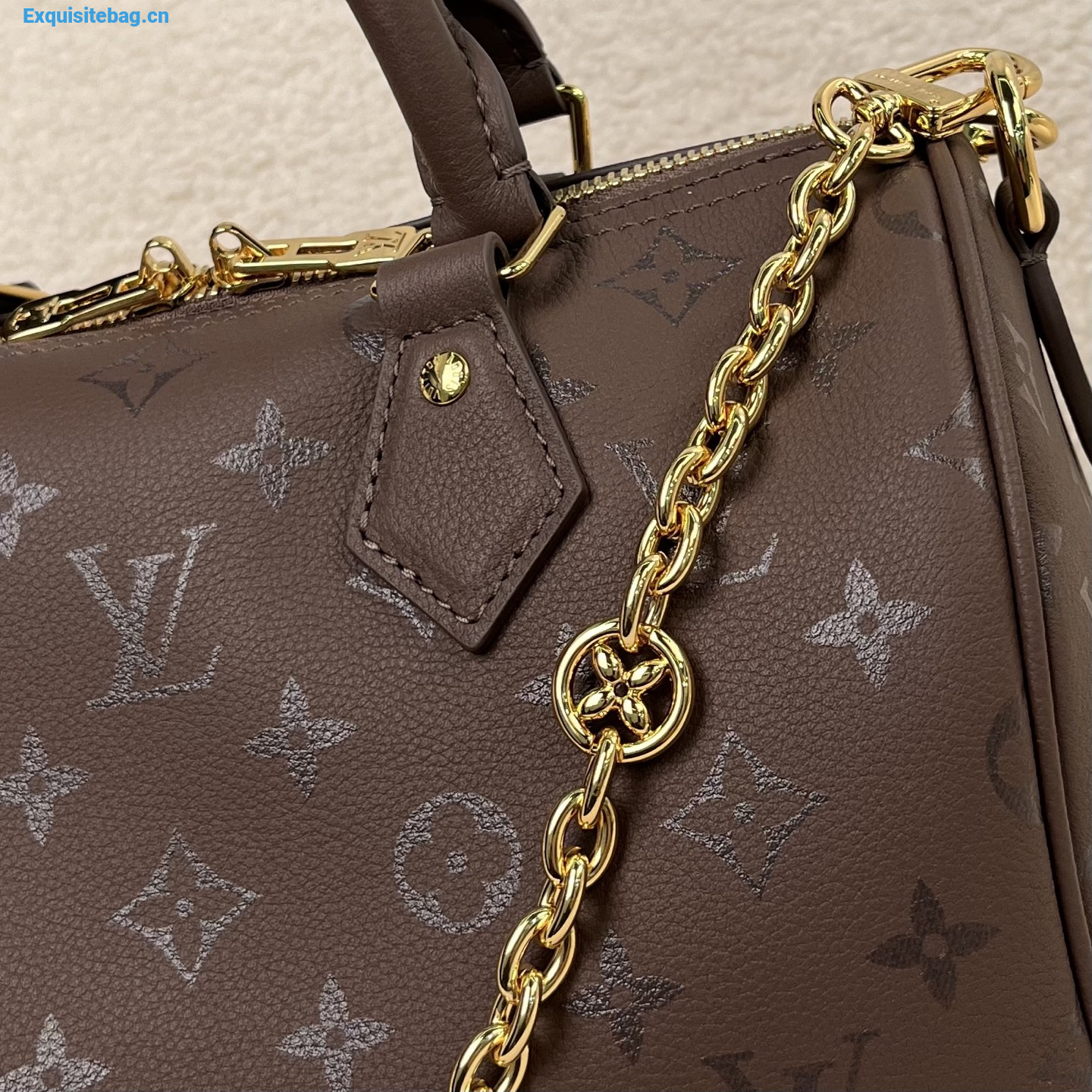 Louis Vuitton Speedy handbag