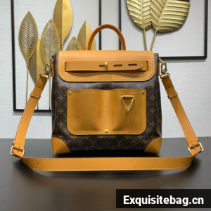 Louis Vuitton Backpack M25989 brown