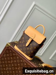 Louis Vuitton Backpack Montsouris EARLY ACCESS M14651