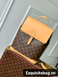 Louis Vuitton Backpack Montsouris EARLY ACCESS M14653