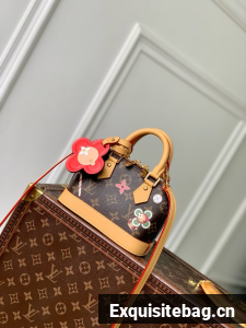 Louis Vuitton CUSTOMIZABLE Alma nano M12199 