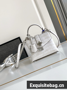 Louis Vuitton Calfskin M84713 light gray