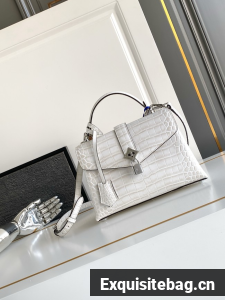 Louis Vuitton Calfskin M84714 light gray