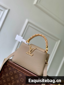 Louis Vuitton Capucines BB M14177 GRAY
