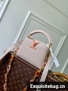 Louis Vuitton Capucines BB M24683 GRAY