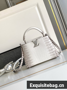 Louis Vuitton Capucines BB M88299 light gray