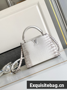 Louis Vuitton Capucines BB M98177 light gray