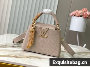 Louis Vuitton Capucines MINI M27040 gray