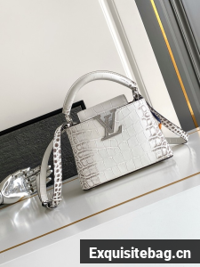 Louis Vuitton Capucines MINI M84713 light gray&crystal