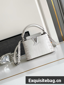 Louis Vuitton Capucines MINI M98156 light gray