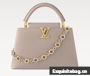 Louis Vuitton Capucines MM M12935 Galet Gray