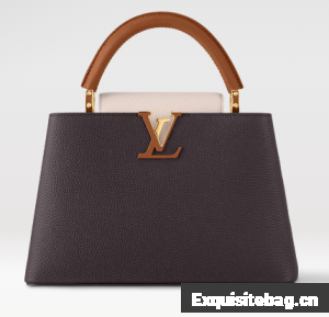 Louis Vuitton Capucines MM M12952 Chocolate & Quartz & Tan