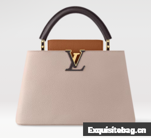 Louis Vuitton Capucines MM M12956 Galet& Tan & Chocolate