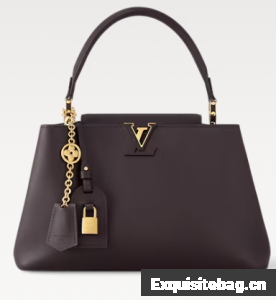Louis Vuitton Capucines MM Souple M12929 Chocolate
