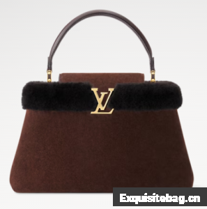 Louis Vuitton Capucines MM Souple M26323 Chocolate