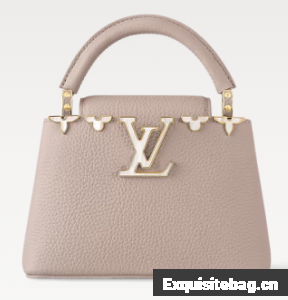 Louis Vuitton Capucines Mini M11341 gray