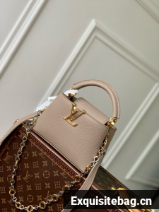 Louis Vuitton Capucines Mini M12938 Galet Gray 