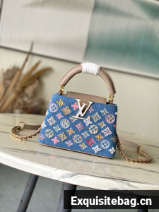 Louis Vuitton Capucines Mini M12938 gray&Denim Blue