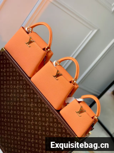 Louis Vuitton Capucines Mini M22606 or BB M22055 or MM M22544 Orange