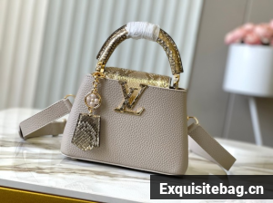 Louis Vuitton Capucines Mini M89369 light gray&gold Snake skin
