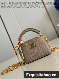 Louis Vuitton Capucines NANO M48865 gray