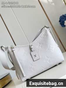 Louis Vuitton CarryAll PM M46288 Brume Gray