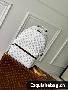 Louis Vuitton Discovery Backpack M14020-6