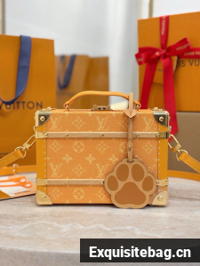 Louis Vuitton Handle Trunk Monogram M11118 yellow