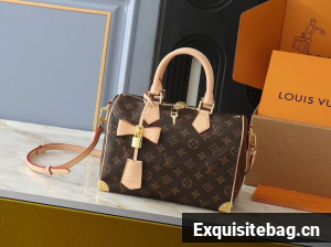 Louis Vuitton LV x TM Speedy Bandouliere 25 M13805