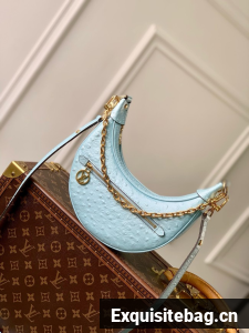 Louis Vuitton Loop N85900 blue