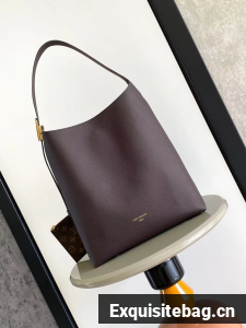 Louis Vuitton Low Key Hobo MM M25022 Coffee