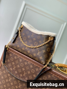 Louis Vuitton Monogram Canvas M26568 brown