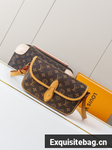 Louis Vuitton Monogram Canvas M42248 brown