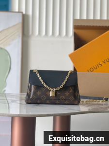 Louis Vuitton Monogram Canvas Original Leather M26398 black