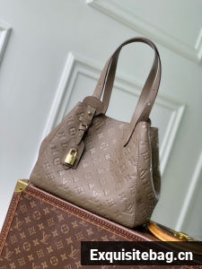 Louis Vuitton NEW All In One MM M25888 Smoke